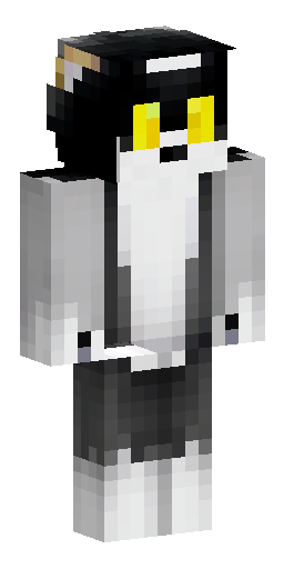 Скин Minecraft в стиле пиксель-арт. Пушистый черно-белый кот породы смокинг. Голова… Скин Майнкрафт: Скин Minecraft в стиле пиксель-арт. Пушистый черно-белый кот породы смокинг. Голова…